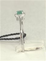 Anillo Bliss Mujer in Oro Smeraldo 20092740 - 20092740